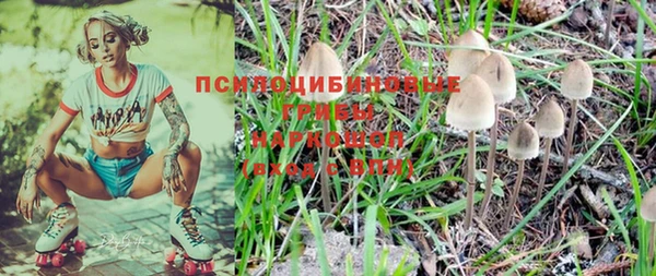 соль ск Магас